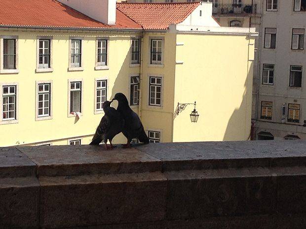 amoureux-lisbonne-portugal